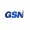 GSN Electronic